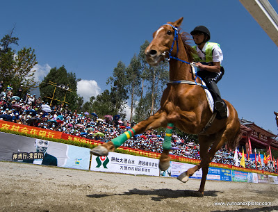 teaser image for Dali Horse Races slides