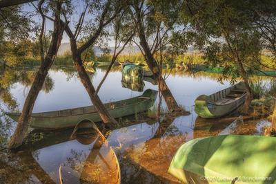 Erhai Fishing Boat Graveyard