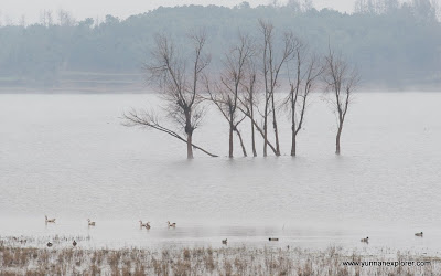 teaser image for Huize Wetlands slides