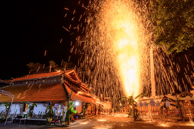Menglian Dai "Fire Flower"