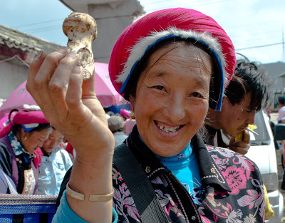 teaser image for Matsutake Market slides