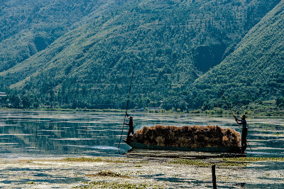 Xihu Harvest Season