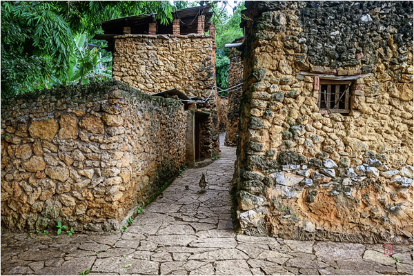 石屏化石村 Shiping Fossil Village