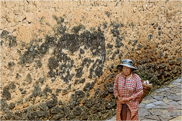 石屏化石村 Shiping Fossil Village