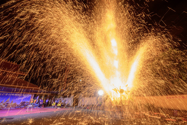 傣族火花 Dai Fire Flower