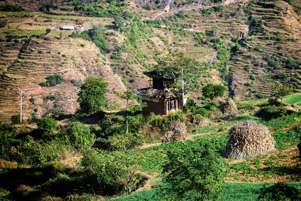 Weishan Lingyan Temple 巍山灵岩寺