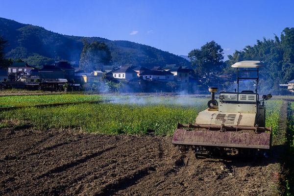 Manglao Village 芒老村