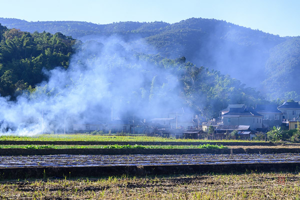 Manglao Village 芒老村