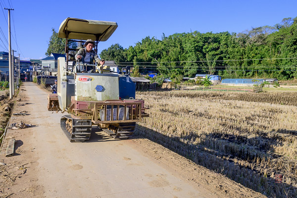 Manglao Village 芒老村