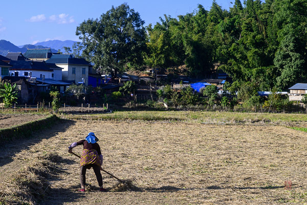 teaser image for Menglao -- A Dai Village in Winter slides