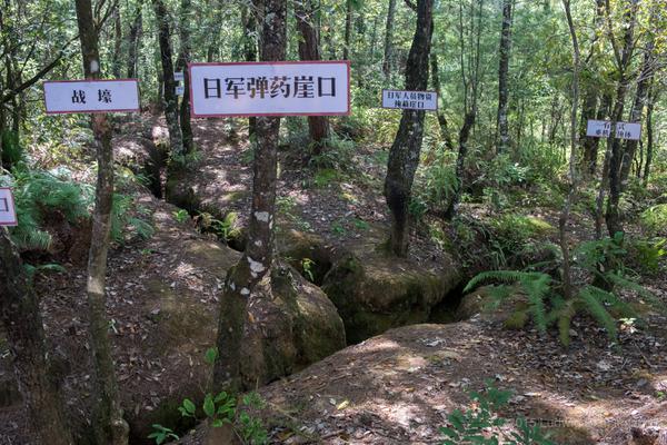 Japanese fortifications and trenches on top of Songshan.